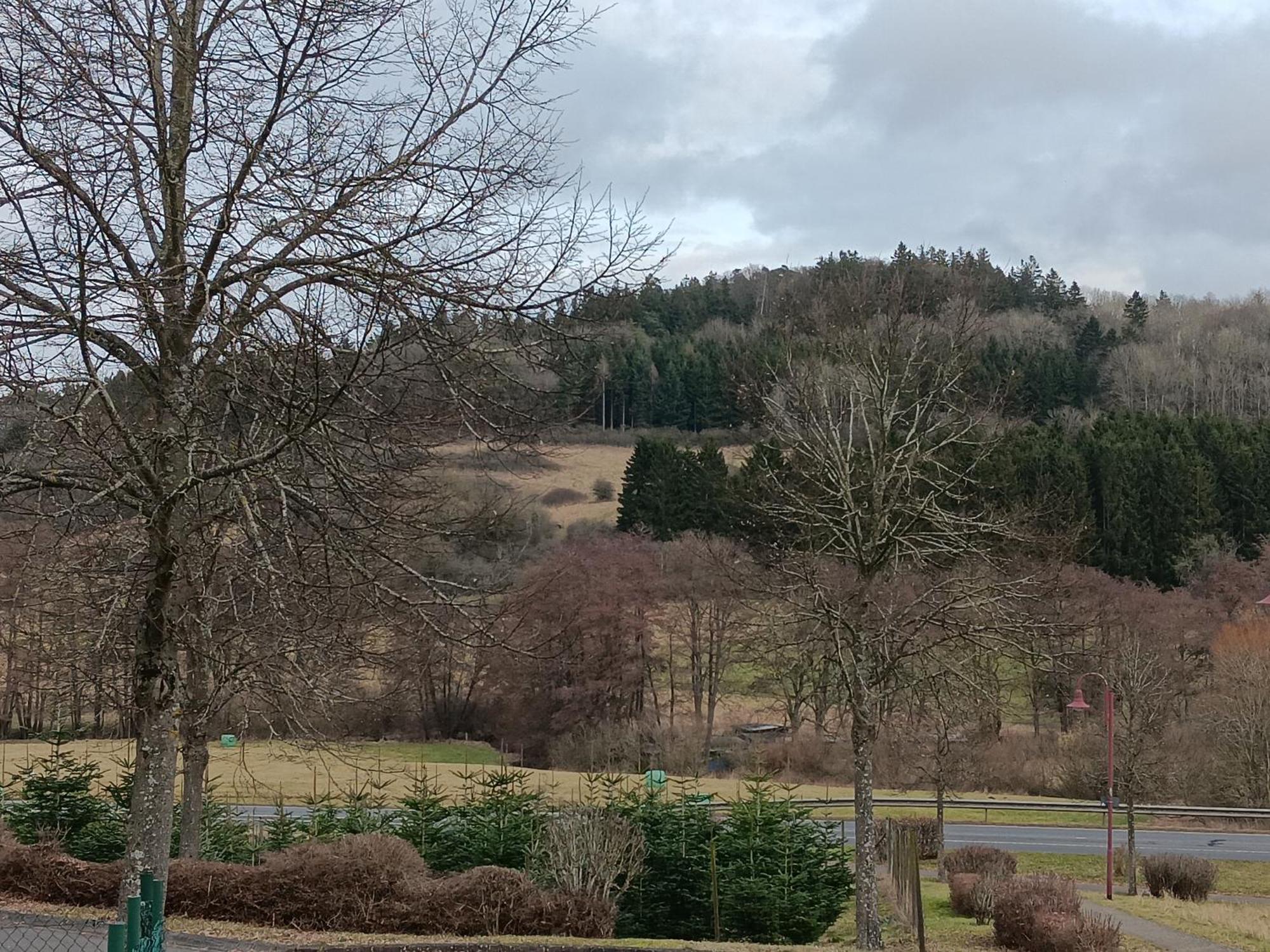 Schwarzenbergblick *